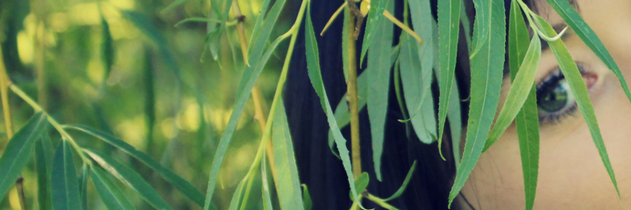 Cover image for post We'll Bury Both, by korbinjones