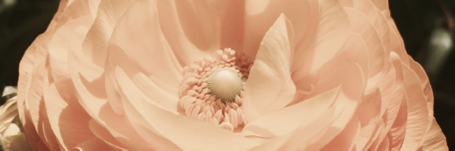 Cover image for post Unknown Touch One., by Meseek