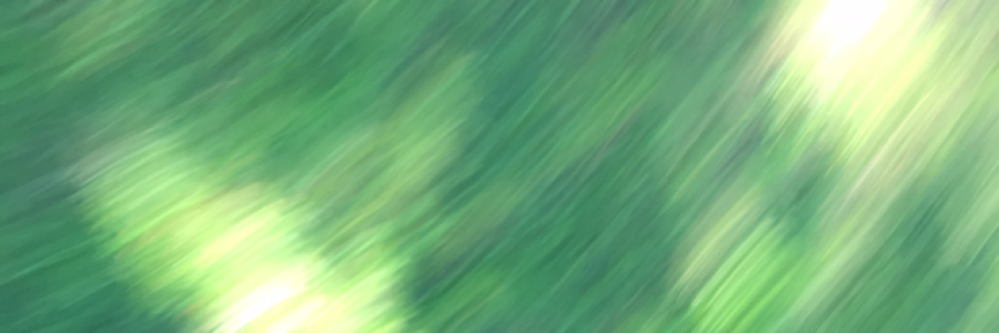 Cover image for post A Sea of Flowers, by MegaZ