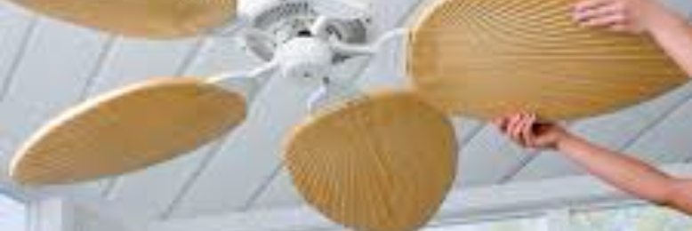 Cover image for post Suddenly Last Summer*, by sandflea68