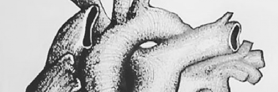 Cover image for post Love, by Hell4heart