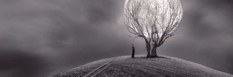 Cover image for post Witches, by ana_livi_