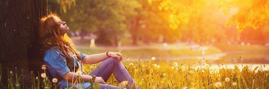 Cover image for post I Win, by BaileyBug