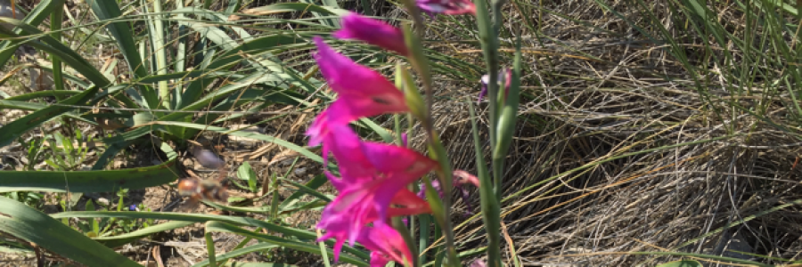 Cover image for post Slow time, by DavidMark