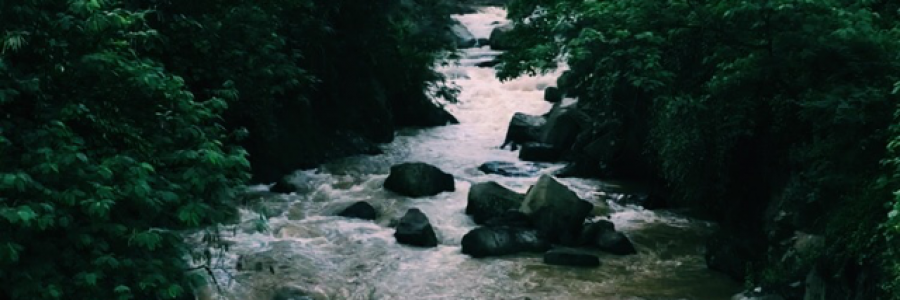 Cover image for post Wishes and photographs, by Manymountains