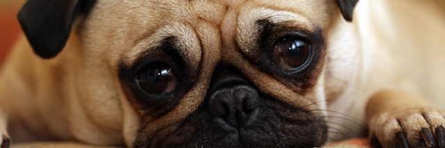 Cover image for post Getting Sad to Get Happy, by Anonnymouse