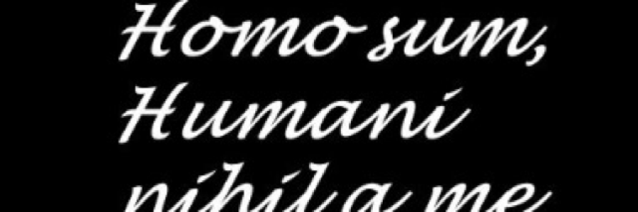 Cover image for post Harp, by SarcasticPoet