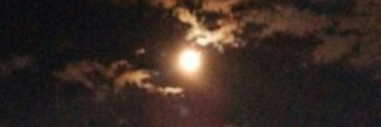 Cover image for post I took my Tools to the Buddha Park, by CRaMcGuirt