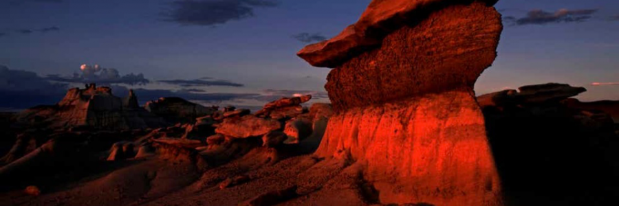 Cover image for post Untitled, by Emilyandcompany