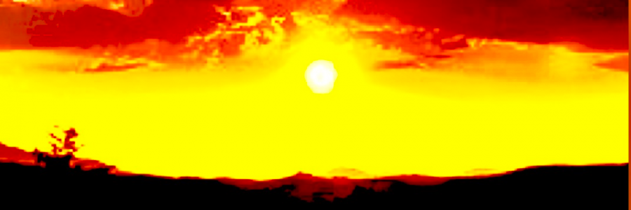 Cover image for post Princess to be, by Emilyandcompany