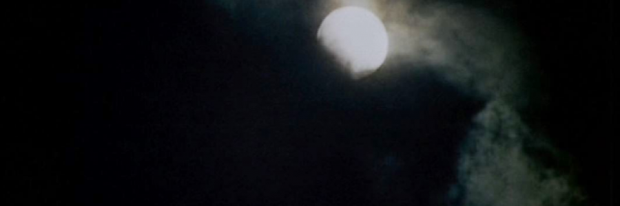 Cover image for post The Secret, by Fortbruce