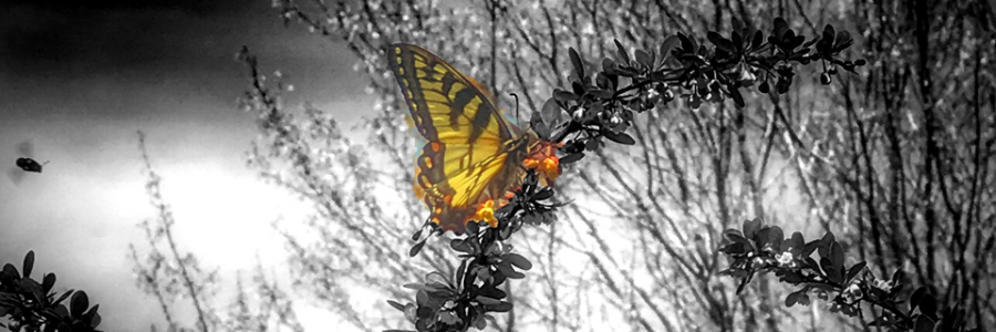 Cover image for post ~disorientation, by InkArtist