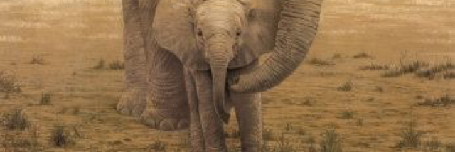 Cover image for post Why are you sitting on me?, by Rachel