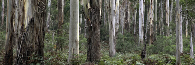 Cover image for post Change Of Heart, by Whitney