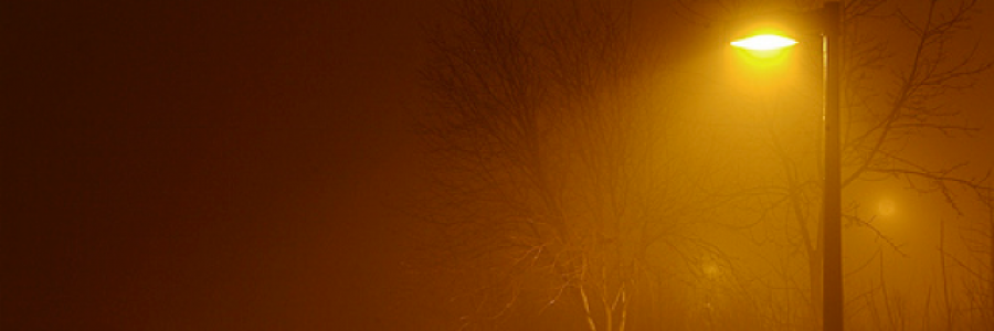 Cover image for post Daily Prompt #6, by BaileyBug