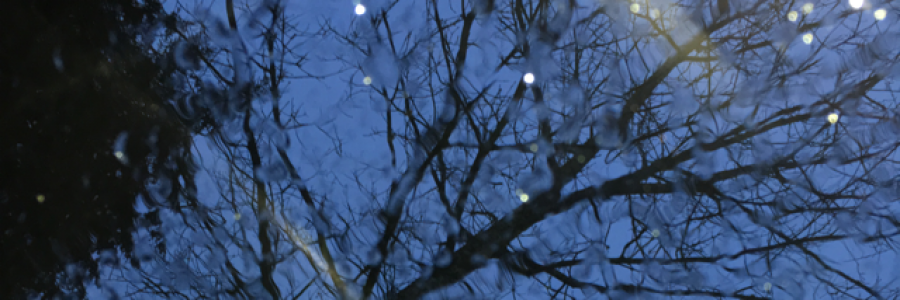 Cover image for post Emperor of the Melody of Night, by MissRosie