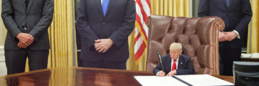 Cover image for post The Little Man, by Fortbruce