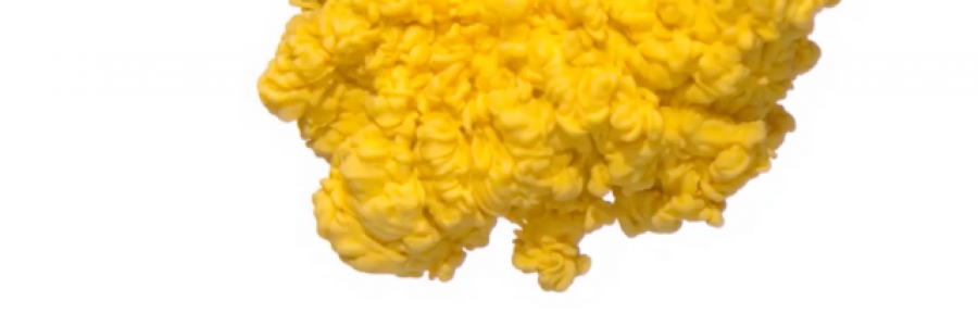 Cover image for post Distracted., by juliarose