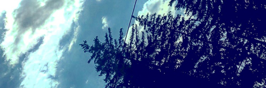 Cover image for post Blind But Scared., by juliarose