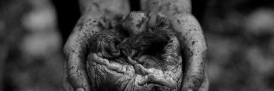 Cover image for post Rivers, by CkHinson