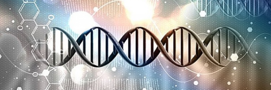 Cover image for post Question Everything, by AdrienMae27