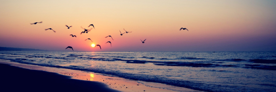 Cover image for post Weston, by Linnette