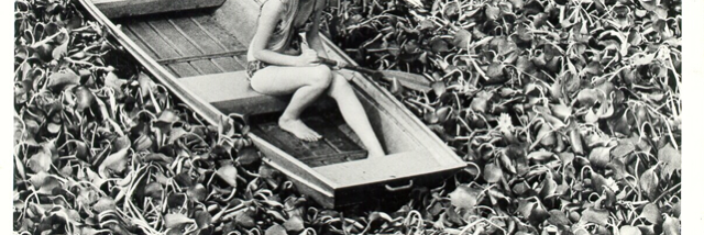 Cover image for post Untitled, by RaneMcC