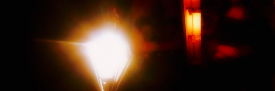 Cover image for post Early Morning Reverie, by ToDream