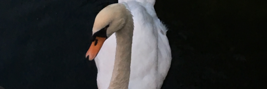 Cover image for post Know Me, by pyrrhic