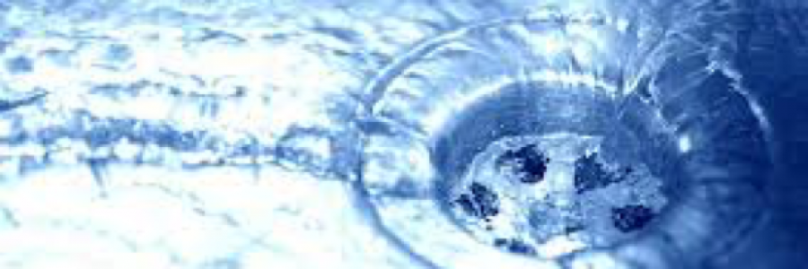 Cover image for post Down the Drain, by SunnyBunny3