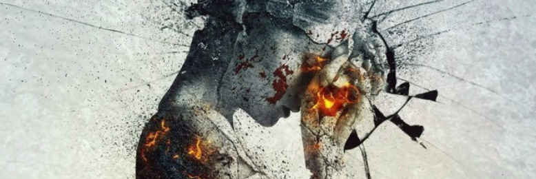 Cover image for post Roller Coaster Ride of Insanity, by sandflea68