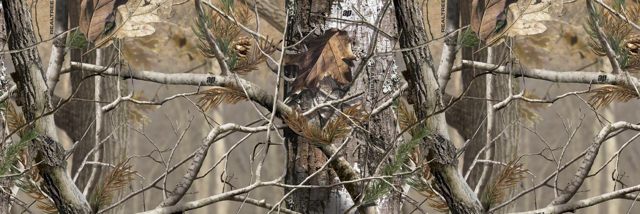 Cover image for post Untitled, by RaneMcC