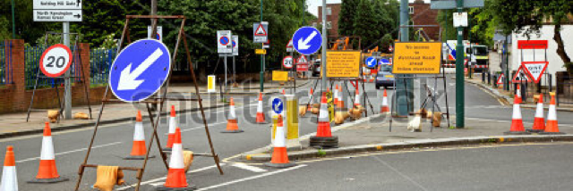 Cover image for post Birds Upon The.., by RaneMcC