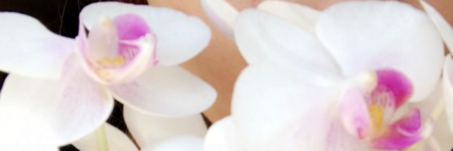 Cover image for post Contrast, by FreeDaughter