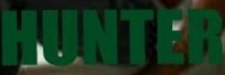 Cover image for post Hunter, by Emeraldwriter