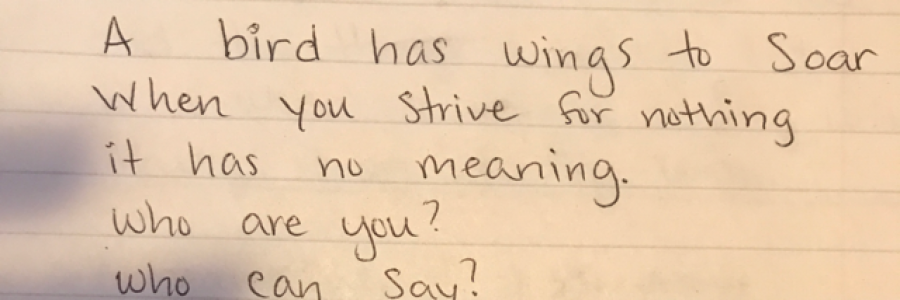 Cover image for post A bird has wings, by PAGELINED