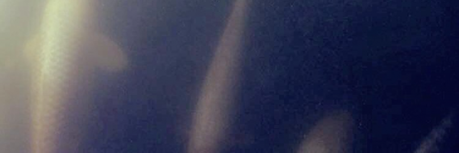 Cover image for post depersonalization., by wilted_hearts