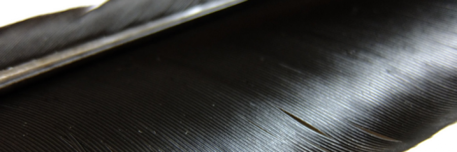 Cover image for post Untitled, by lillith665