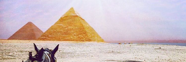 Cover image for post Chapter 3 - The Merchant (an excerpt from: The Square), by DarbyRiales