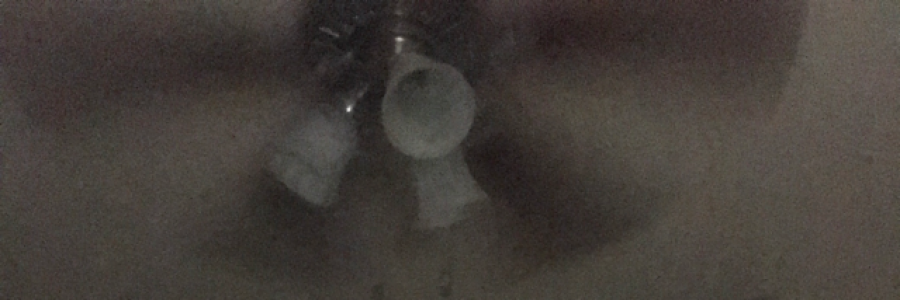 Cover image for post Ode to my Brain, by Cheeseybob