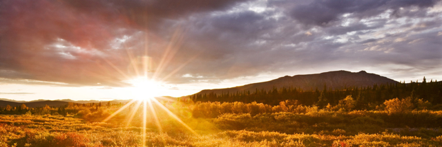 Cover image for post Like a Baby, by Gracenote