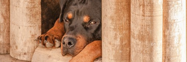 Cover image for post Frustration - The Other F Word, by SonofEternity7