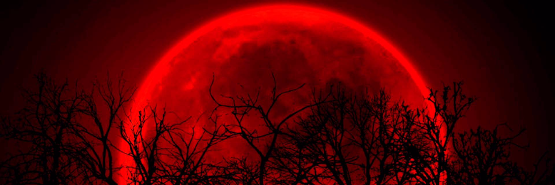 Cover image for post Until death do us part, by YosiLiao