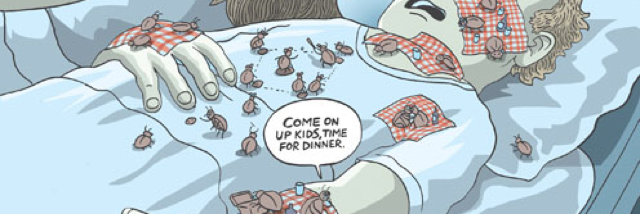 Cover image for post Looking For Help, by RaneMcC