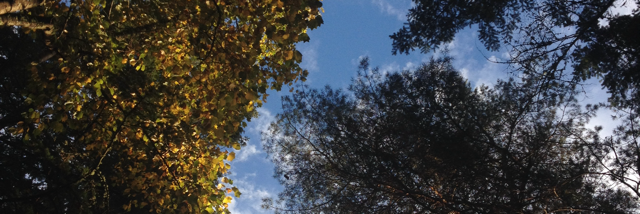 Cover image for post Untitled, by artemis