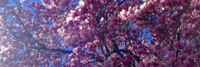 Cover image for post Certainly not me., by tessamarie