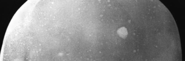 Cover image for post Blast Radius, by modteis