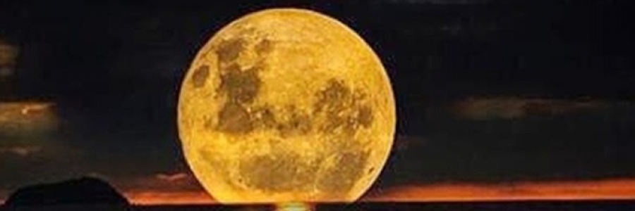 Cover image for post Yellow, by Mtrubenfire