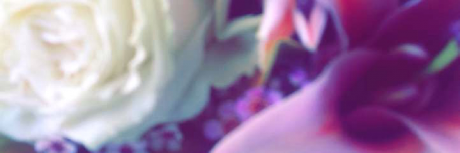 Cover image for post Feu Amour, by MackenzieTyson