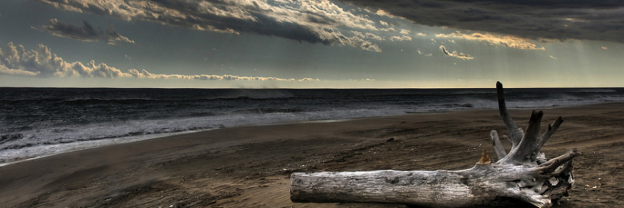 Cover image for post See you soon, by JJCollins